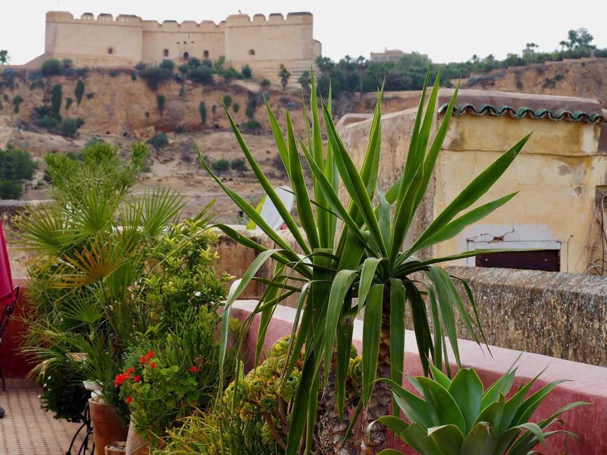 Riad Toyour- Riad Of Birds Fez Exterior foto